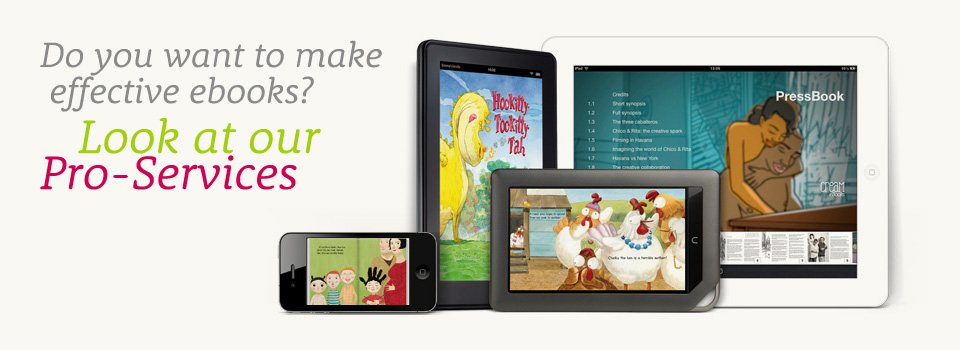 Do you want to make effective ebooks? Look at our pro-services